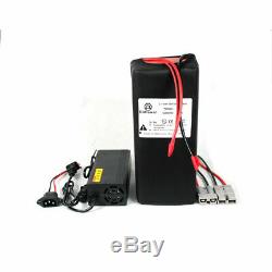48Volt 10Ah Lithium ion Battery Pack For 500Watt Ebike Electric Bicycle 30A BMS