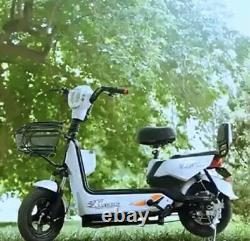 500 watt electric scooter / bike 48 Volt Battery