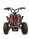 CRAZY QUADS 1000 Watt Electric Children's 36 Volt ATV Quad Bike Black & Red