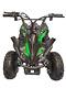 CRAZY QUADS 1000 Watt Electric Children's 36 Volt ATV Quad Bike Green & Black
