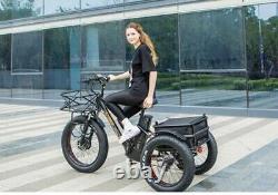 Fat Tire Electric Trike Tricycle 750w 48v 17AH Samsung Battery Bafang Motor 2024