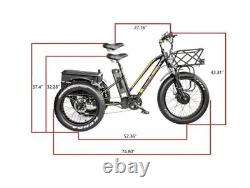 Fat Tire Electric Trike Tricycle 750w 48v 17AH Samsung Battery Bafang Motor 2024