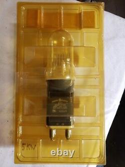 GE 41736 DPY 5000 Watt Bulb