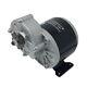 MY1016Z3 24/36-Volt 350-Watt Gear Reduction Electric Motor with 9 Tooth Sprocket