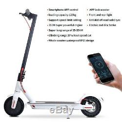 New Electric Scooter 350 Watt 36 Volt with 10.5 ApH Battery and 8.5 Inch Wheels