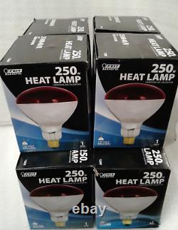 QTY 10 FEIT Electric BR40/RED 120 Volt Red Heat Lamp 250 Watt New in Box